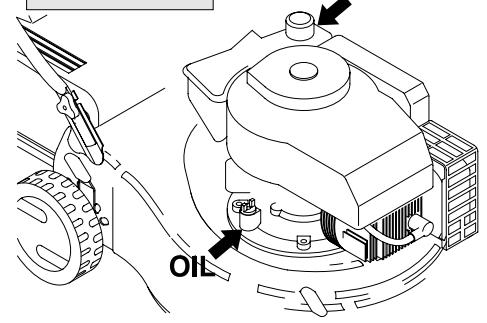 PARTNER PT4546S - BATTERY DISPOSAL - 48