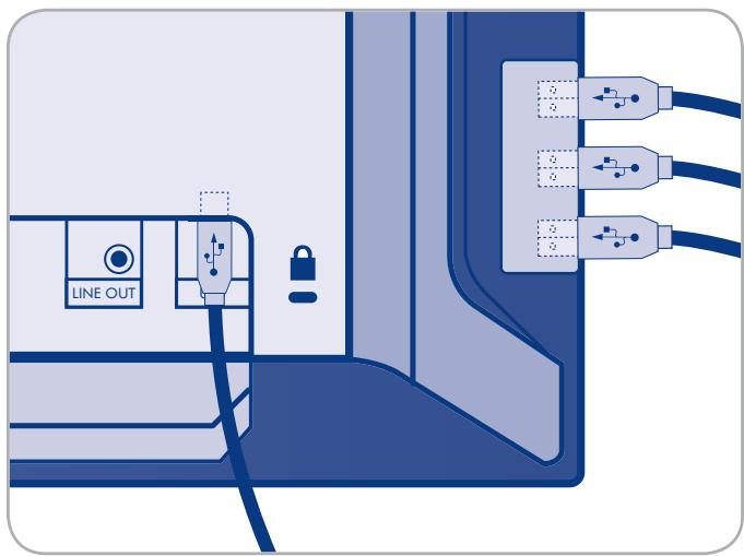 LACIE 324 LCD - Pour brancher les périphériques USB : - 2