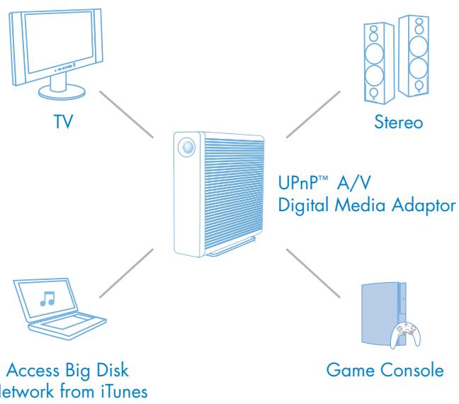 LACIE BIG DISK NETWORK - Essential Networking Solution - 2