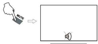 NESX NE-1617P - SELECTION DES PROGRAMMES - 3