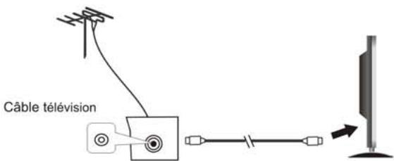 NESX NE2510 - Installation de l'antenne - 1