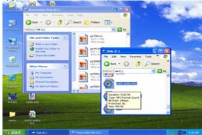 DANE-ELEC PMP - You can use the player as a removable USB storage. - 1