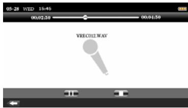 DANE-ELEC PMP - VOICE - 1