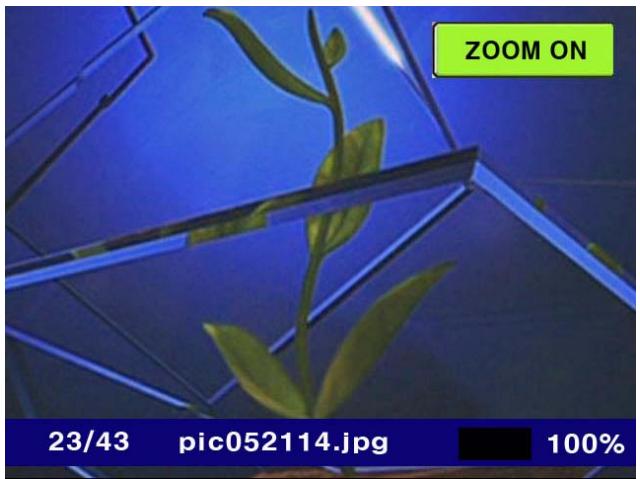 WE DIGITAL MULTIMEDIA PLAYER - Marque-page: pour marquer une position spécifique - 3