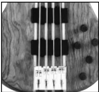 PEAVEY CIRRUS - STRING INTONATION - 1
