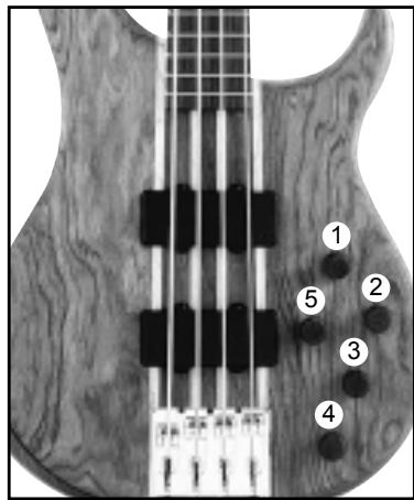 PEAVEY CIRRUS - CONTROLS - 1