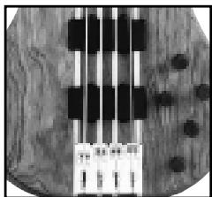 PEAVEY CIRRUS - ENTONACION DE LAS CUERDAS - 1