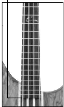 PEAVEY CIRRUS - VARILLA DE TORSION - 1