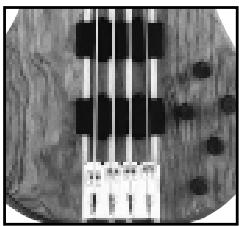 PEAVEY CIRRUS - SAITENINTONATION - 2