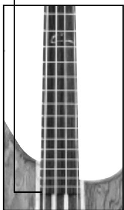 PEAVEY CIRRUS - BARRE DETENSION - 1