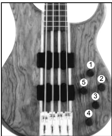 PEAVEY CIRRUS - CONTROLS - 1