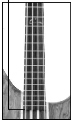 PEAVEY CIRRUS - SPANNSTAB - 1