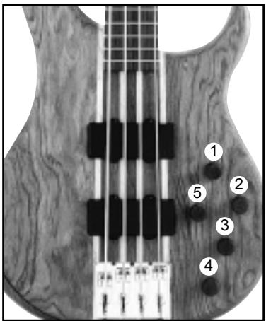 PEAVEY CIRRUS - PILE - 1
