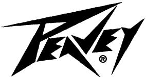 PEAVEY ECOUSTIC 112 - SAVE THESE INSTRUCTIONS! - 1