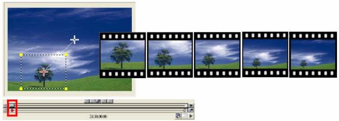 ULEAD VIDEOSTUDIO 10 PLUS - Pan & Zoom - 1