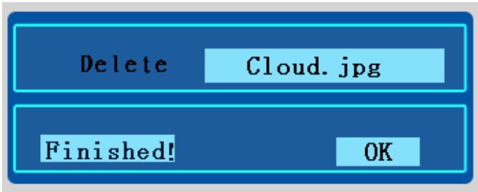 VIEWSONIC DF88W - Deleting File - 1