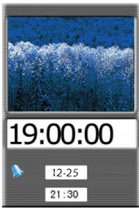 VIEWSONIC DF88W - Calendario - 1