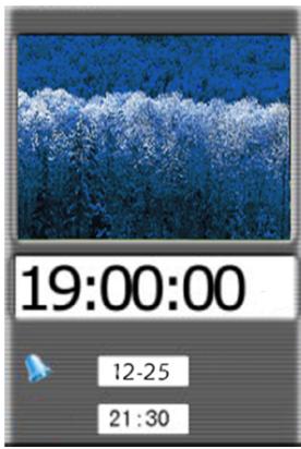 VIEWSONIC DF88W - Calendar - 1