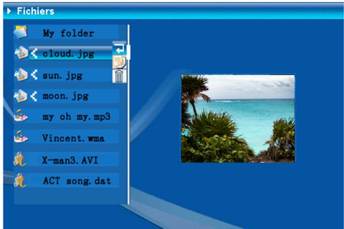 VIEWSONIC DF88W - Fichier - 4
