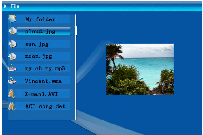 VIEWSONIC DF88W - File - 1