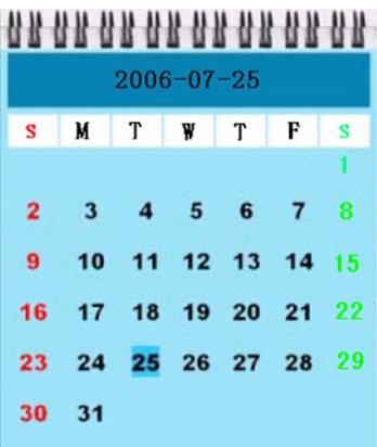 VIEWSONIC DF88W - Calendar - 2