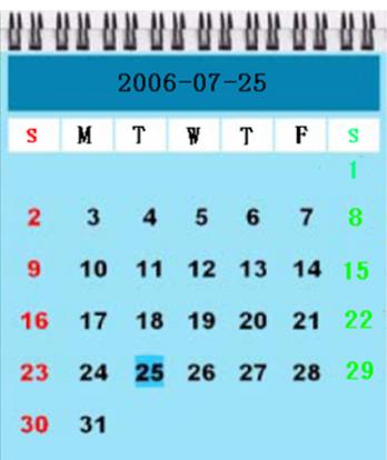 VIEWSONIC DF88W - L'interface de calendrier - 2