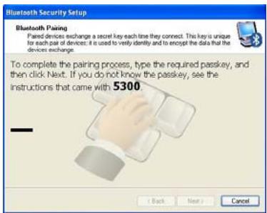 VIEWSONIC VNB101 - 8-3 Establish a connection - 3