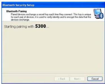 VIEWSONIC VNB101 - 8-3 Establish a connection - 1
