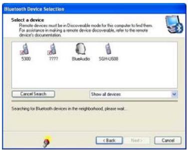 VIEWSONIC VNB101 - 8-2 Add a Bluetooth Device - 5