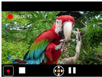VIEWSONIC 3DSC5 - Recording a video clip - 1