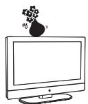 VIEWSONIC N4785P - Moisture and flammable objects - 2