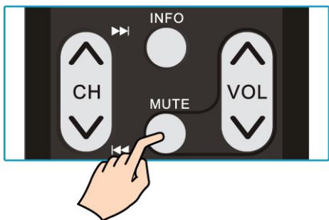 VIEWSONIC N5230P - Adjusting the Volume - 2