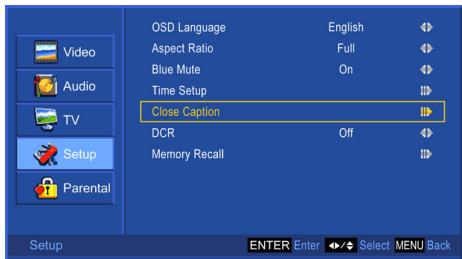 VIEWSONIC N5230P - Close Caption Setting - 2