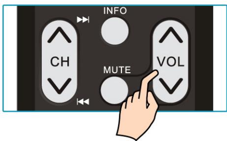 VIEWSONIC N5230P - Adjusting the Volume - 1