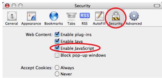 VIEWSONIC PJL6223 - JavaScript enable setting - 1