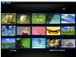 VIEWSONIC VFM1035-52 - Viewing thumbnails - 1