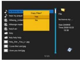 VIEWSONIC VFM1042-52 - Managing Files - 2