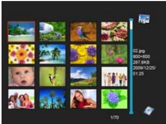 VIEWSONIC VFM1042-52 - Viewing thumbnails - 1