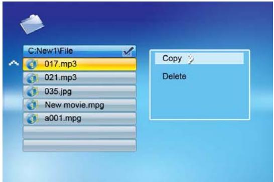 VIEWSONIC VFM1530-11 - Files Copying or Deleting: - 1
