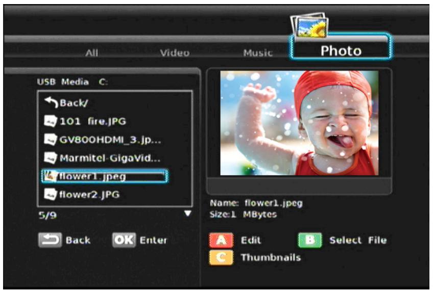 VIEWSONIC VMP70 - PHOTO PLAYBACK - 1