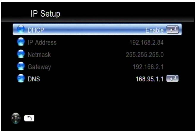 VIEWSONIC VMP75 - Wired Network Setup - 2