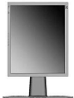 VIEWSONIC VP950B - Landscape/Portrait Modes - 2