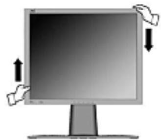 VIEWSONIC VP950B - Landscape/Portrait Modes - 1