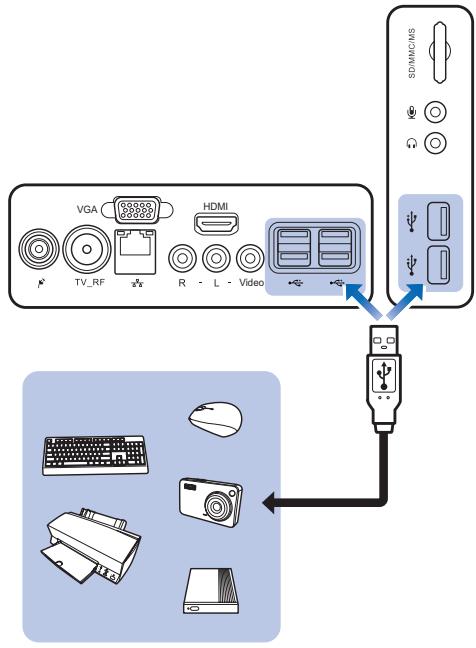VIEWSONIC VPC220 - Connecting USB Devices - 1
