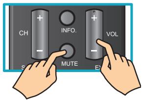 VIEWSONIC VT3245 - Adjusting the Volume - 1