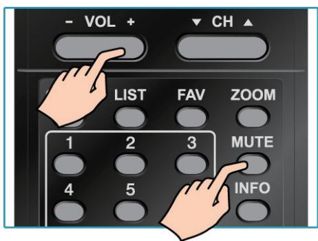 VIEWSONIC VTMS2431 - Adjusting the Volume - 1