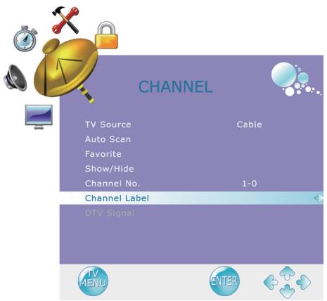VIEWSONIC VTMS2431 - Channel Name Setting - 1