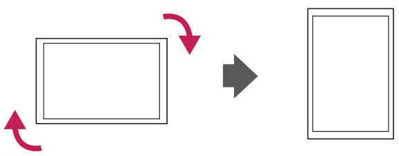 VIEWSONIC CDP4737-L - Portrait Layout - 1