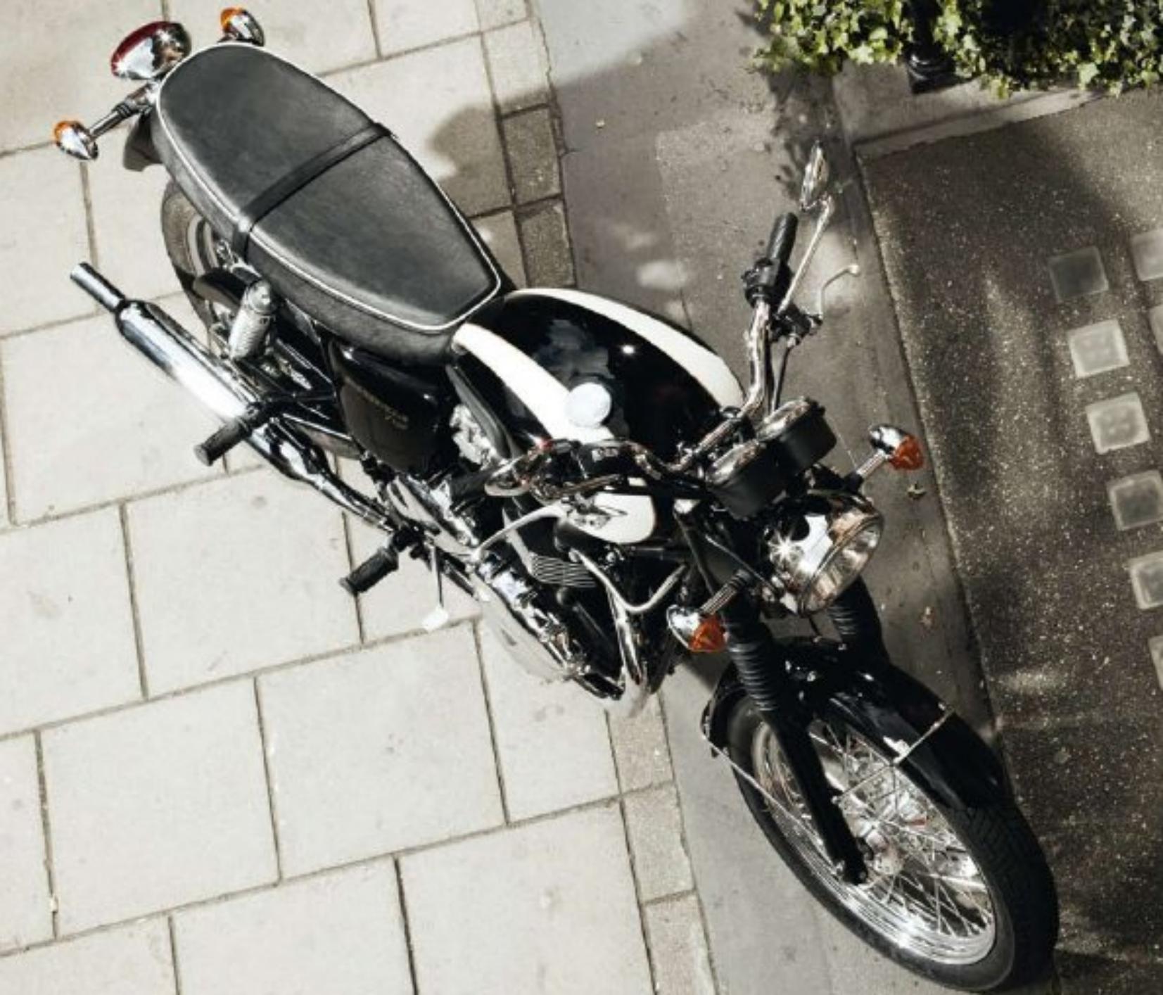 TRIUMPH BONNEVILLE T100 - T100 - 3