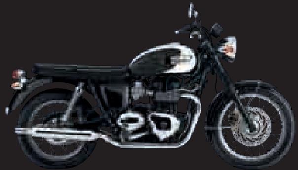 TRIUMPH BONNEVILLE T100 - T100 - 14
